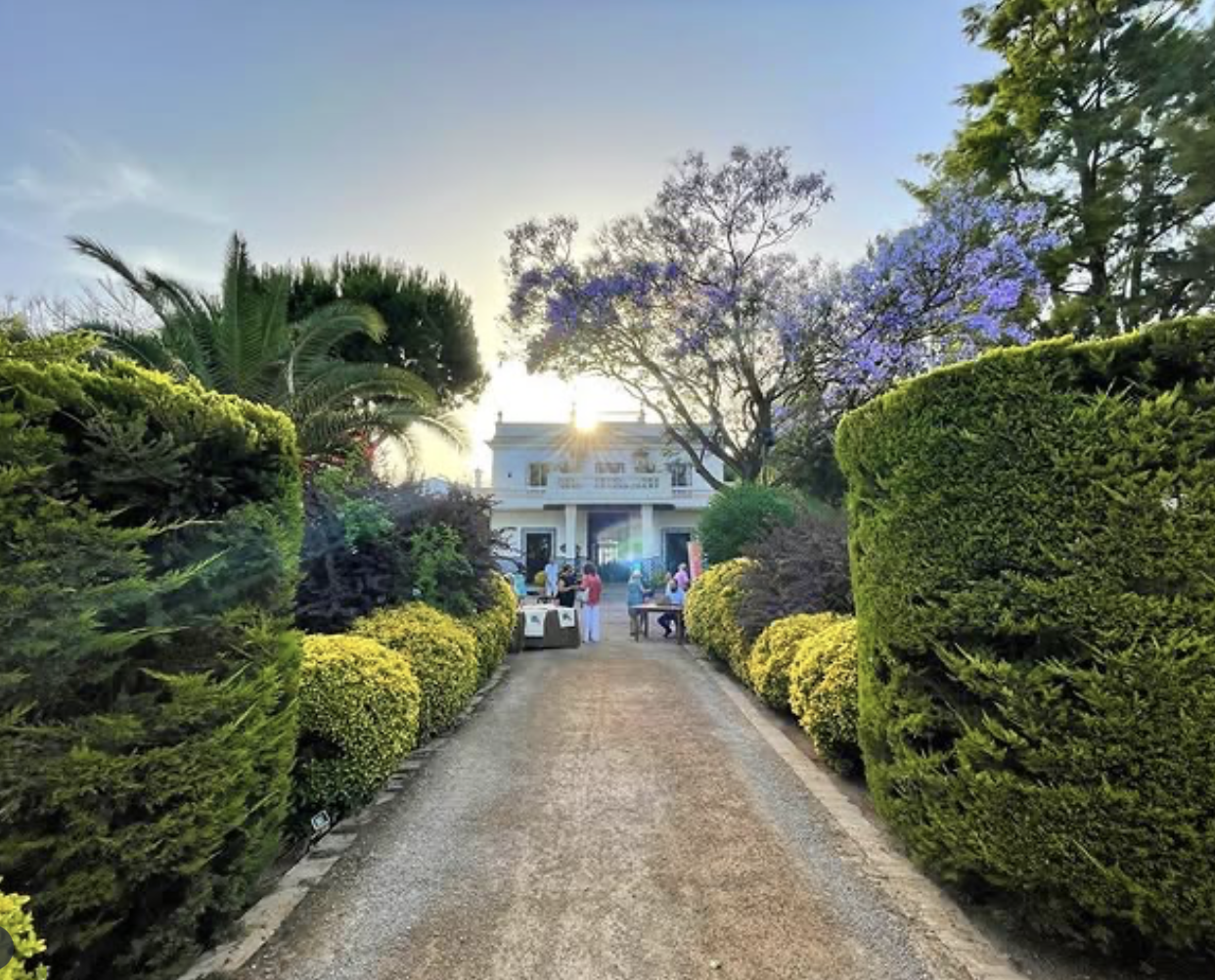 Captura de pantalla 2025-06-16 a las 22.59.57