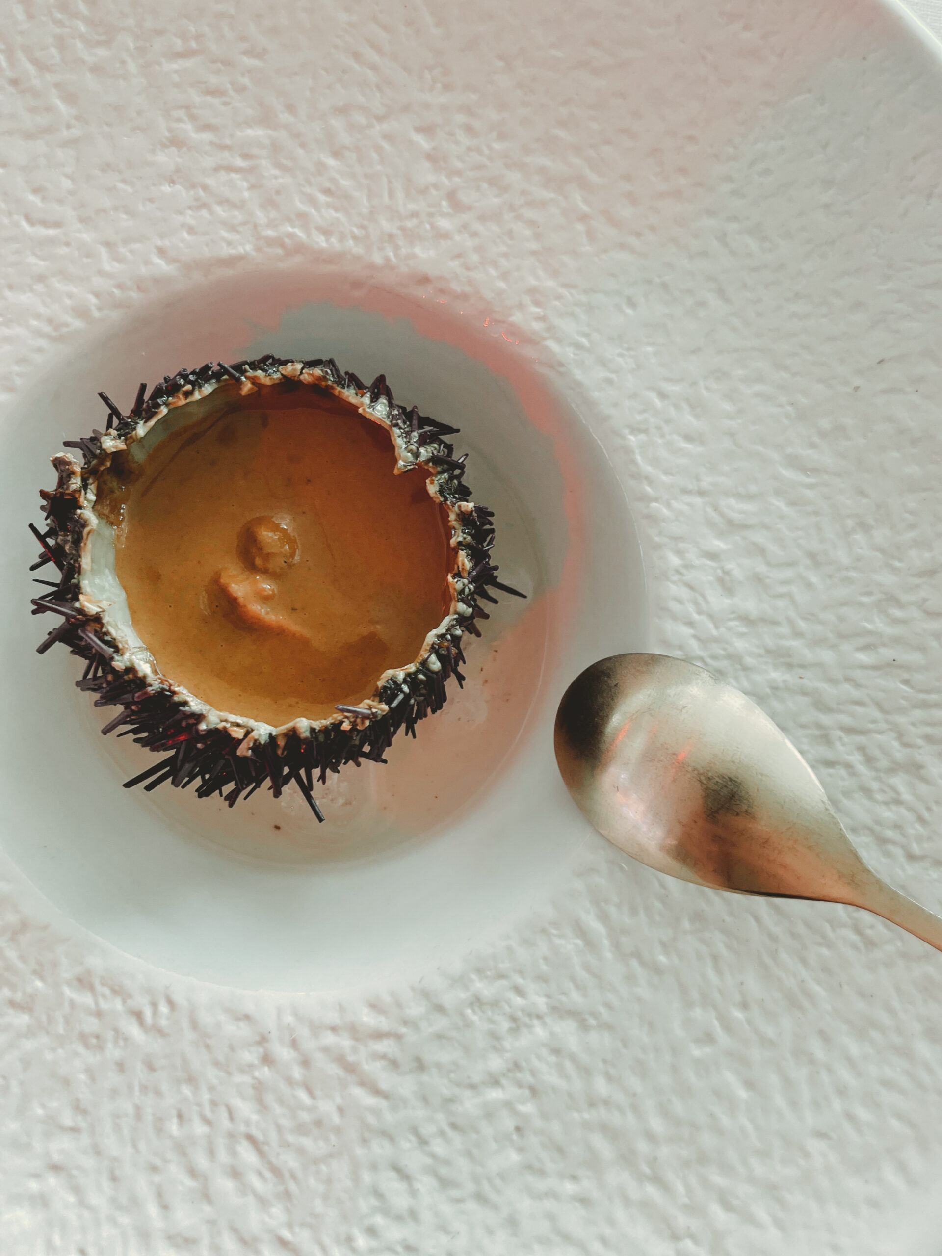 Created with RNI Films app. Profile 'Agfacolor 40's Aged'