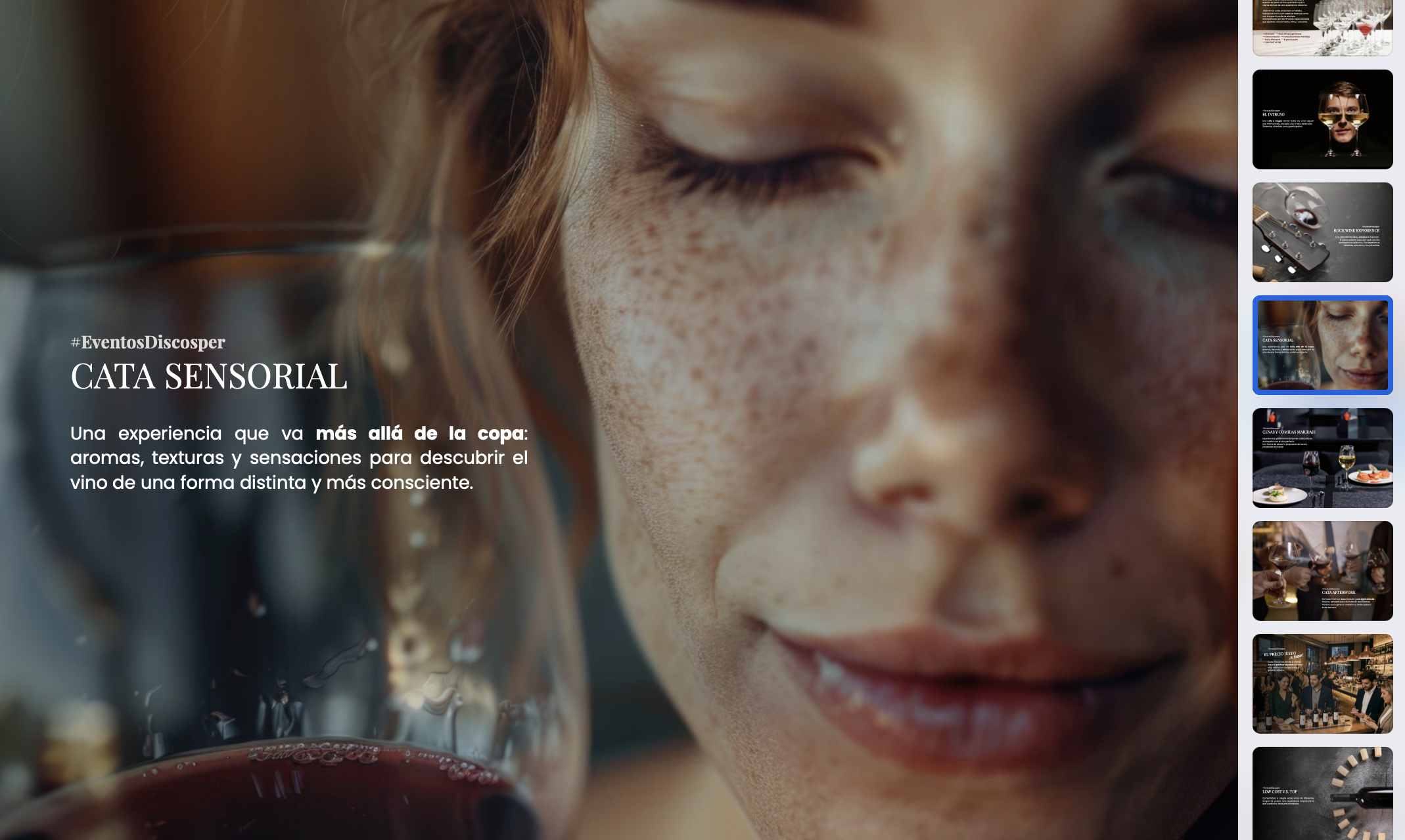 Dossier de ventas distribuidora de vinos